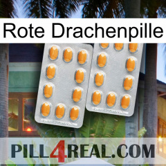 Red Dragon Pill cialis4